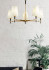 Подвесная люстра Maytoni Zaragoza H001CL-05BS Подвесная люстра Maytoni Zaragoza H001CL-05BS