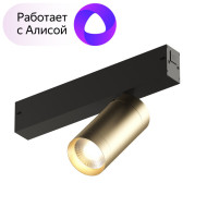 Трековый светильник Denkirs Smart DK8010-BG Трековый светильник Denkirs Smart DK8010-BG