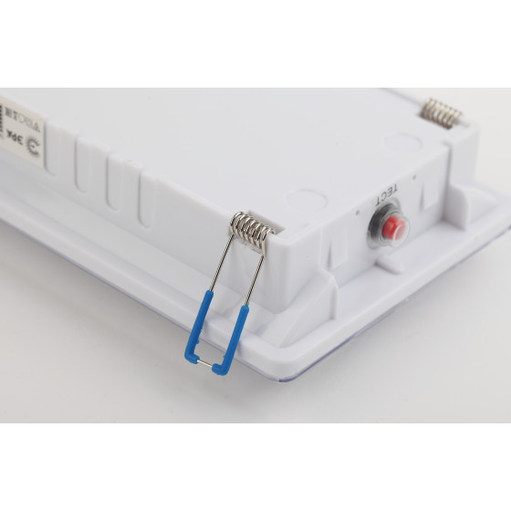 Аварийный светильник Эра DPA-301-1-65 Б0051843