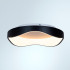 Потолочный светильник Arte Lamp Ankaa A3085PL-48BK Потолочный светильник Arte Lamp Ankaa A3085PL-48BK