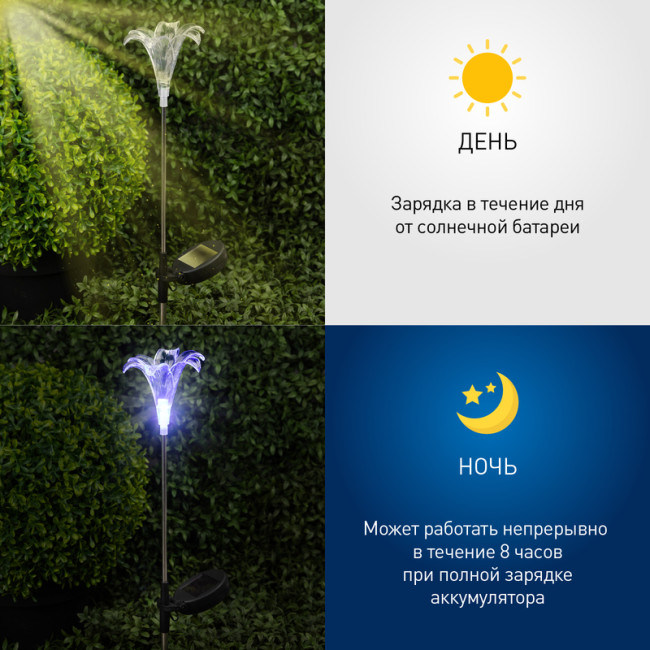 Уличный светильник Эра ERASF22-19 Б0053379