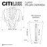 Настенный светильник Citilux Hasienda CL328350