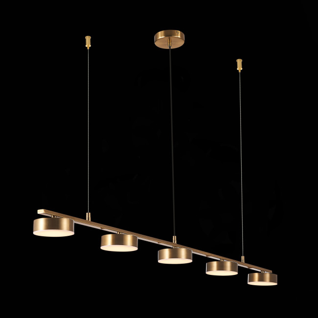 Подвесная светодиодная люстра ST Luce Pances SL6000.303.05