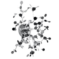 Настенный светильник Lightstar Extra 721634 Настенный светильник Lightstar Extra 721634