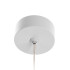 Подвесной светильник Citilux Hardy CL002P10