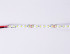 Светодиодная лента Ambrella Light LED Strip 24В 2835 10Вт/м 3000K 5м IP20 GS3101