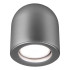 Потолочный светильник Elektrostandard Ogma DLN116 GU10 серебро 4690389153341 Потолочный светильник Elektrostandard Ogma DLN116 GU10 серебро 4690389153341