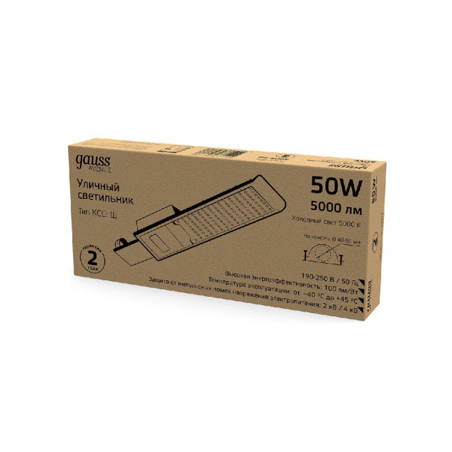 Уличный светодиодный консольный светильник Gauss Avenue 629534350 Уличный светодиодный консольный светильник Gauss Avenue 629534350
