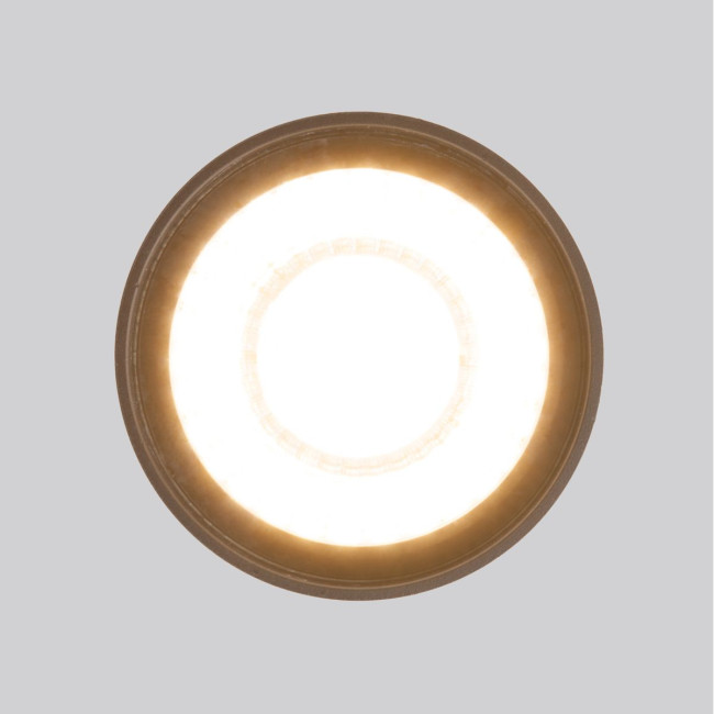 Уличный потолочный светильник Elektrostandard Light LED 4690389176975 Уличный потолочный светильник Elektrostandard Light LED 4690389176975