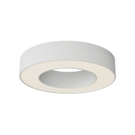Потолочный светильник Maytoni Technical Lua C093CL-24W3K-W Потолочный светильник Maytoni Technical Lua C093CL-24W3K-W