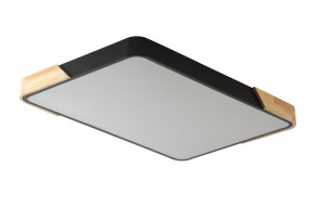 Потолочный светильник Zortes Alberro ZRS.01244.60 Потолочный светильник Zortes Alberro ZRS.01244.60