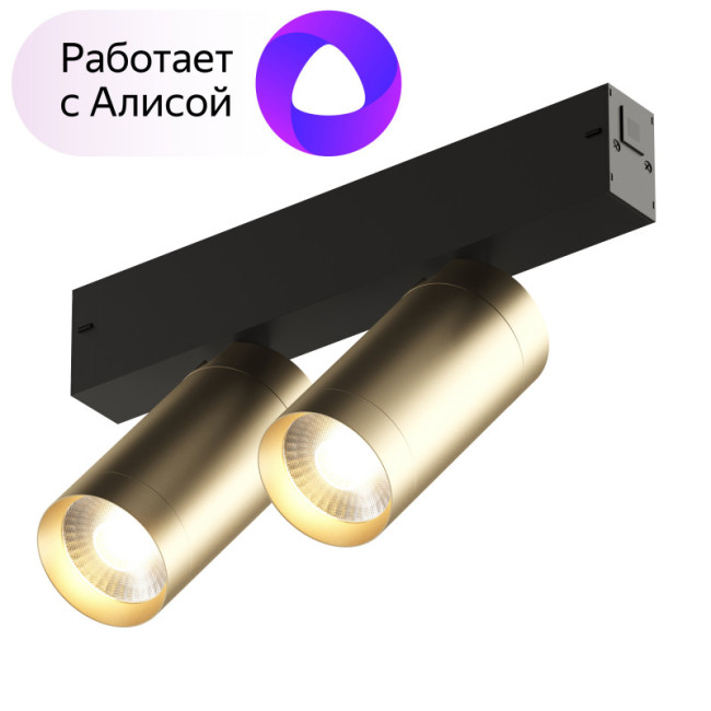 Трековый светильник Denkirs Smart DK8012-BG