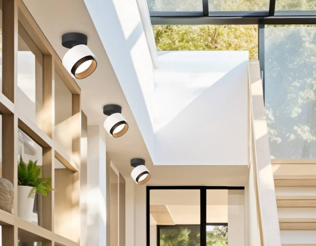 Спот Ambrella Light Techno family TN71279 Спот Ambrella Light Techno family TN71279