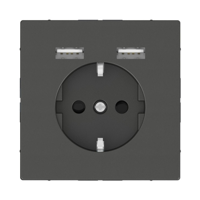 Розетка компьютерная USBx2 Schneider Electric Merten D-Life MTN2366-6034 Розетка компьютерная USBx2 Schneider Electric Merten D-Life MTN2366-6034