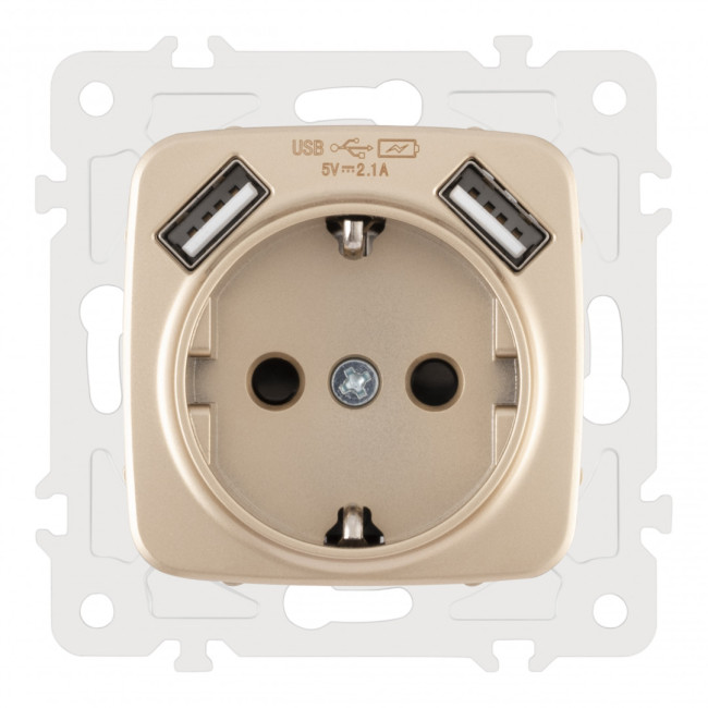 Розетка с заземлением, шторками + 2 USB Arte Milano 205.47-1.shampan Розетка с заземлением, шторками + 2 USB Arte Milano 205.47-1.shampan