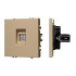 Механизм компьютерной розеткиArlight SCT-NOBE-MPC1-SFPL-GD (RJ-45, CAT6) 054306 Механизм компьютерной розеткиArlight SCT-NOBE-MPC1-SFPL-GD (RJ-45, CAT6) 054306