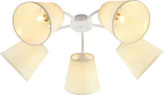 Потолочная люстра Rivoli Aimee Б0059972 Потолочная люстра Rivoli Aimee Б0059972