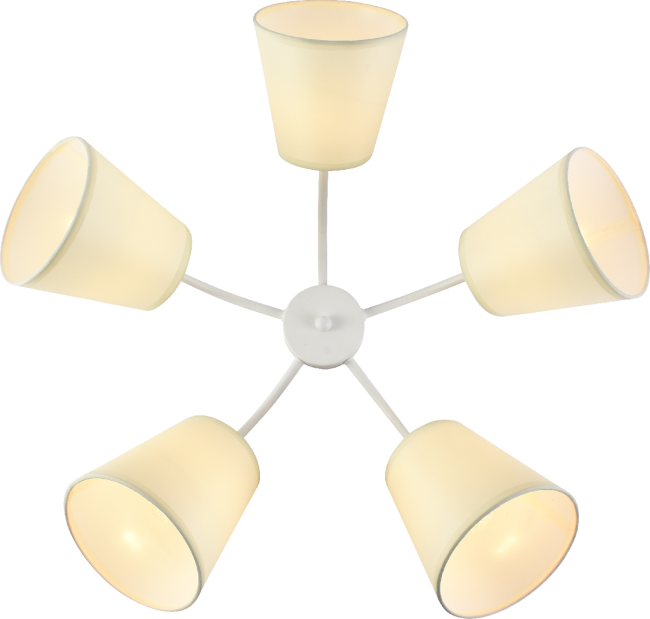 Потолочная люстра Rivoli Aimee Б0059972 Потолочная люстра Rivoli Aimee Б0059972