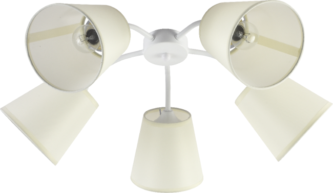 Потолочная люстра Rivoli Aimee Б0059972 Потолочная люстра Rivoli Aimee Б0059972