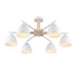 Люстра на штанге Lumion Colange 8095/6C Люстра на штанге Lumion Colange 8095/6C