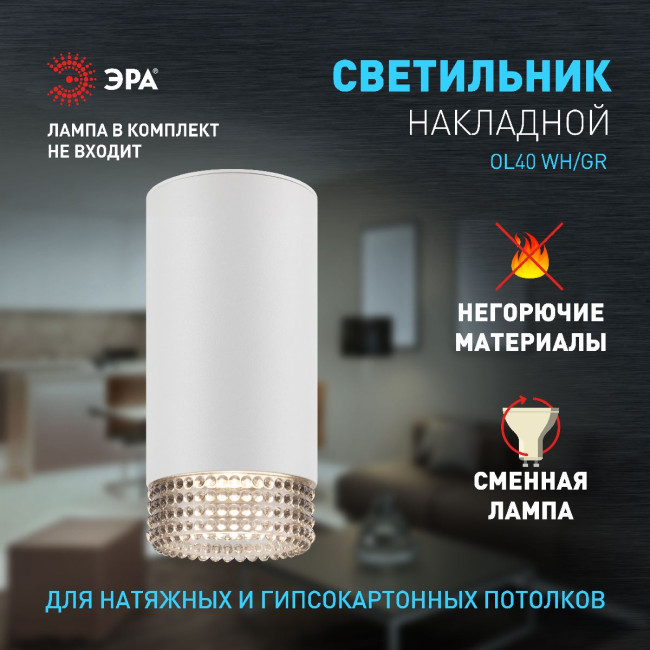 Накладной светильник Эра OL40 WH/GR Б0058478 Накладной светильник Эра OL40 WH/GR Б0058478