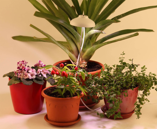 Светодиодный светильник для растений ЭРА FITO-12W-FLED Б0039068 Светодиодный светильник для растений ЭРА FITO-12W-FLED Б0039068