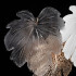 Настенный светильник Citilux Dryad CL305330 Настенный светильник Citilux Dryad CL305330