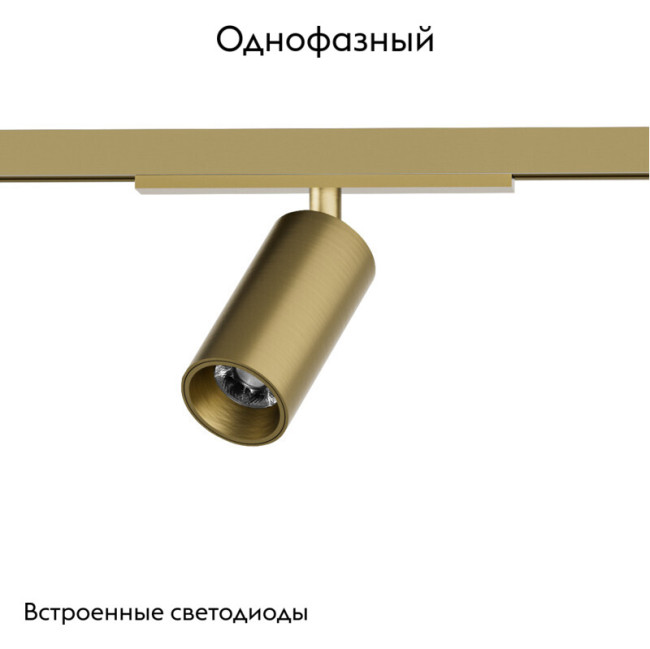 Трековый однофазный светильник Denkirs Shine spot DK5740-SB Трековый однофазный светильник Denkirs Shine spot DK5740-SB