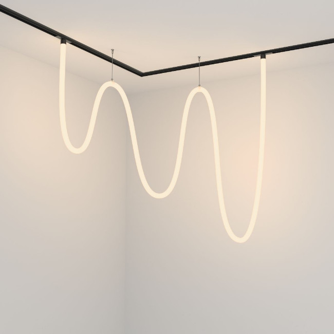 Трековый подвесной светильник Maytoni Tau TR101-2-100W3K-B