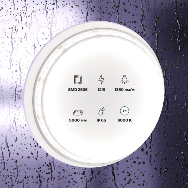 Подвесная люстра Cloyd Delaware 10119