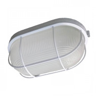 Настенно-потолочный светильник ЭРА НБП 04-100-002 Б0048426 Настенно-потолочный светильник ЭРА НБП 04-100-002 Б0048426