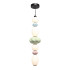 Подвесная люстра ST Luce Florentini SL6134.453.01