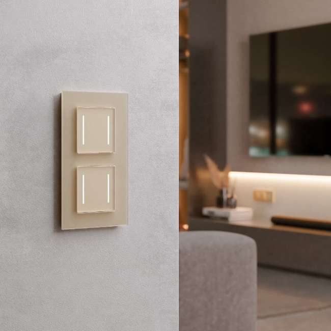 Сенсорный выключатель двухклавишный с подсветкой Werkel 4690389198069 W4522011 a063604 Сенсорный выключатель двухклавишный с подсветкой Werkel 4690389198069 W4522011 a063604