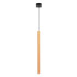 Подвесной светильник Arlight SP-PIPE-HANG-L600-R30-9W Warm3000 (GD, 24 deg, 230V) 038644 Подвесной светильник Arlight SP-PIPE-HANG-L600-R30-9W Warm3000 (GD, 24 deg, 230V) 038644