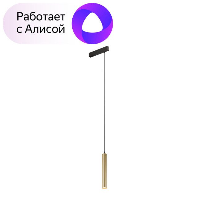 Трековый светильник Denkirs Smart DK8008-BG Трековый светильник Denkirs Smart DK8008-BG
