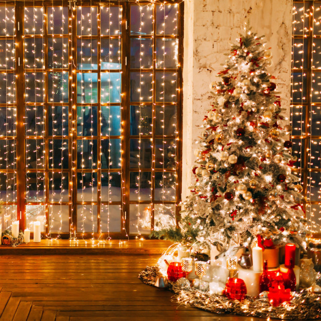 Светодиодный занавес Eurosvet 200-002 белый 2*3м IP20 Светодиодный занавес Eurosvet 200-002 белый 2*3м IP20