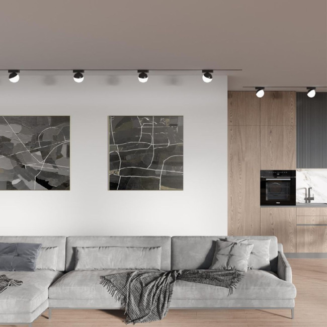 Трековый магнитный светильник Novotech Smal 359262