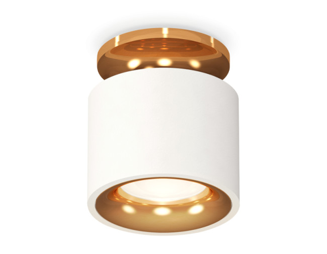 Потолочный светильник Ambrella Light Techno Spot XS7510121 (N7929, C7510, N7014) Потолочный светильник Ambrella Light Techno Spot XS7510121 (N7929, C7510, N7014)