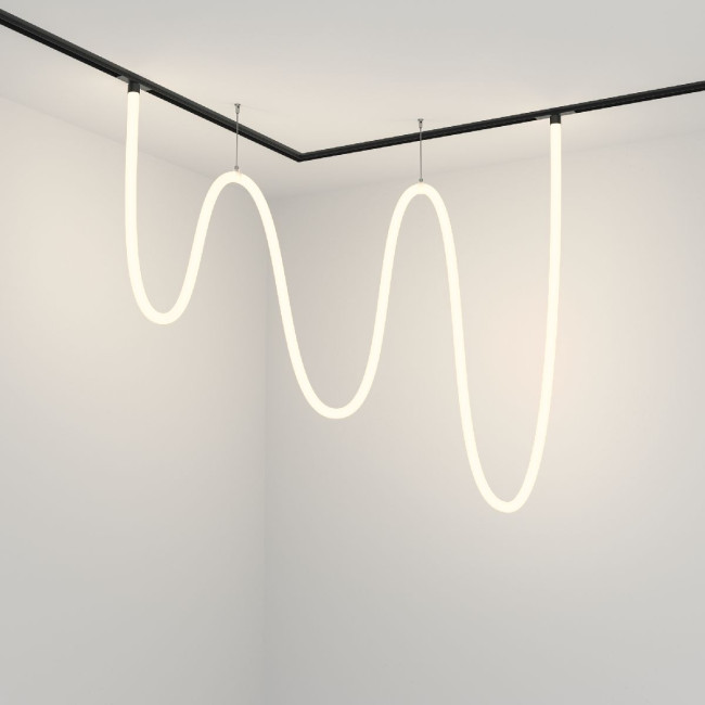 Трековый подвесной светильник Maytoni Tau TR101-2-100W4K-B