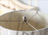 Настольная лампа Delight Collection Table Lamp KR0707T-1 Настольная лампа Delight Collection Table Lamp KR0707T-1