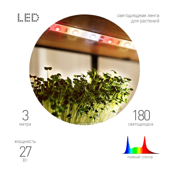 Светодиодная лента для растений Эра FITO-Strip Light-Rа90-27W-3m-12V-IP65 4000K Б0064597 Светодиодная лента для растений Эра FITO-Strip Light-Rа90-27W-3m-12V-IP65 4000K Б0064597