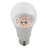Фитолампа для растений светодиодная ЭРА E27 12W 1310K FITO-12W-RB-E27-K Б0039070