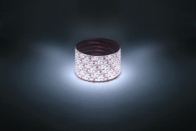 Светодиодная лента Эра 12В 2835 9,6Вт/м 6500K 5м IP65 LS2835-9,6-120-12-6500K-IP65-1 year-5m Б0035599