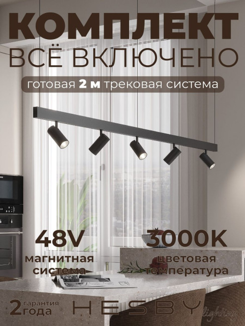 Трековая система со светильниками №3 трехфазная подвесная Eldeko (48В, форма - прямая, 2м, 3000K) черная Hesby Lighting HSBL_kompl_E003_PI2B3K