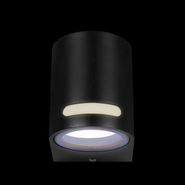 Уличный настенный светильник Loft IT Stema 100012/A