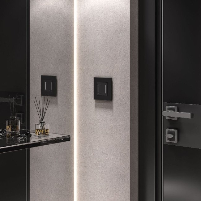 Сенсорный выключатель двухклавишный с подсветкой Werkel 4690389198052 W4522008 a063602