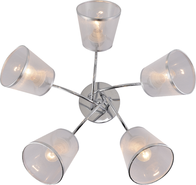 Потолочная люстра Rivoli Shirley Б0059982 Потолочная люстра Rivoli Shirley Б0059982