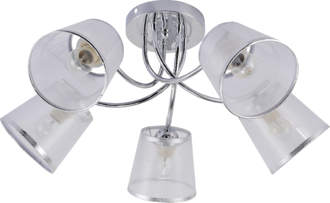 Потолочная люстра Rivoli Shirley Б0059982 Потолочная люстра Rivoli Shirley Б0059982