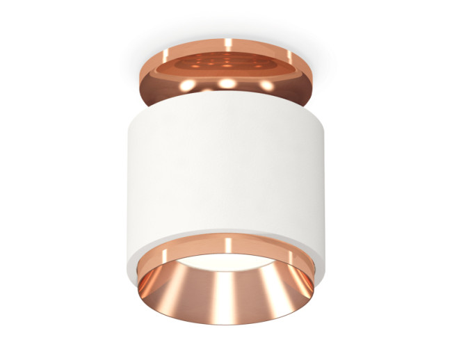 Потолочный светильник Ambrella Light Techno Spot XS7510140 (N7930, C7510, N7035) Потолочный светильник Ambrella Light Techno Spot XS7510140 (N7930, C7510, N7035)