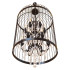 Подвесная люстра LOFT IT Vintage birdcage Loft1891/12 Подвесная люстра LOFT IT Vintage birdcage Loft1891/12